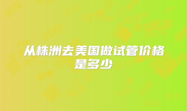 从株洲去美国做试管价格是多少