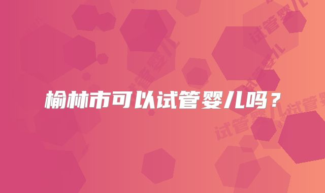 榆林市可以试管婴儿吗？