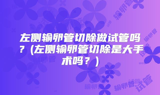 左侧输卵管切除做试管吗？(左侧输卵管切除是大手术吗？)