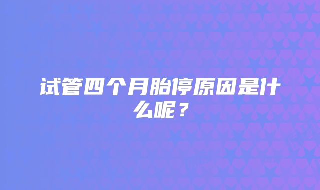 试管四个月胎停原因是什么呢？