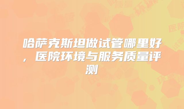 哈萨克斯坦做试管哪里好, 医院环境与服务质量评测