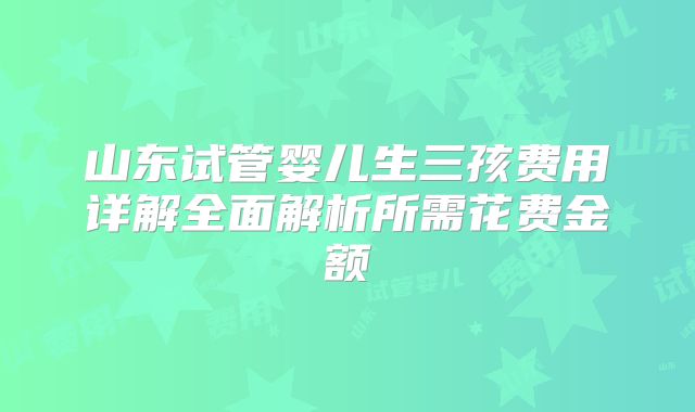 山东试管婴儿生三孩费用详解全面解析所需花费金额