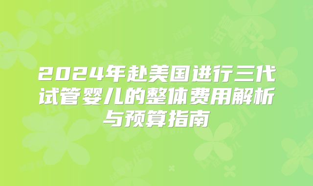 2024年赴美国进行三代试管婴儿的整体费用解析与预算指南