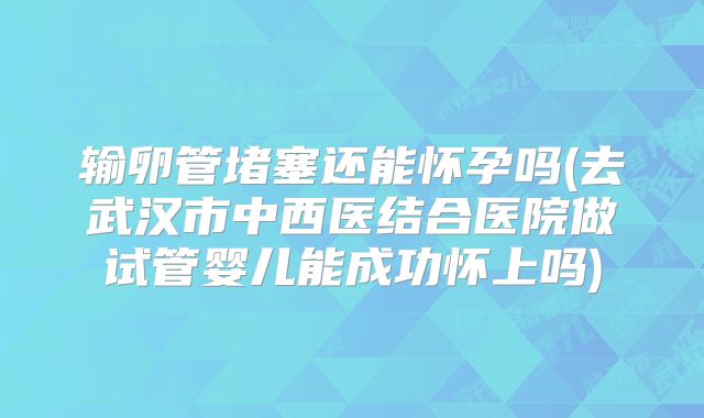 输卵管堵塞还能怀孕吗(去武汉市中西医结合医院做试管婴儿能成功怀上吗)