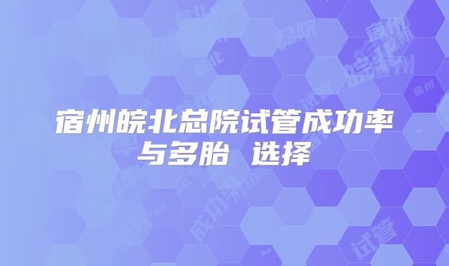 宿州皖北总院试管成功率与多胎 选择