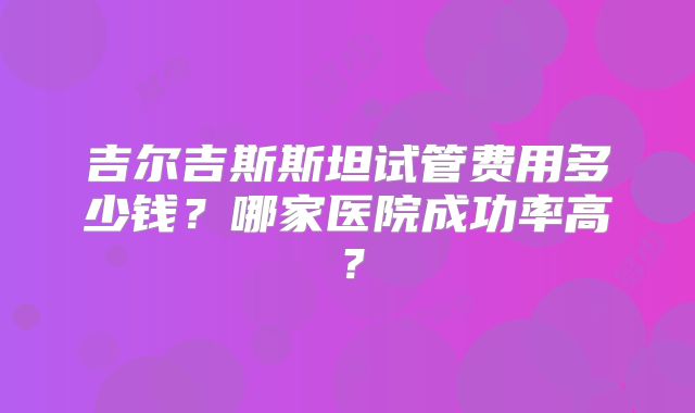 吉尔吉斯斯坦试管费用多少钱？哪家医院成功率高？