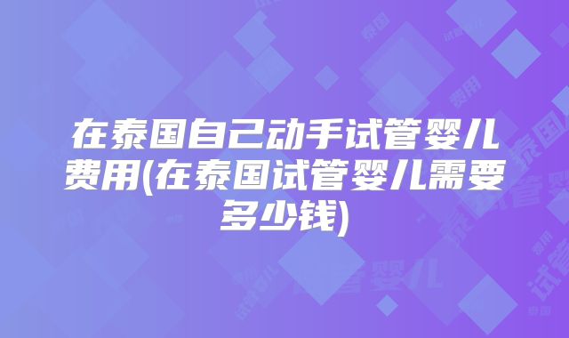 在泰国自己动手试管婴儿费用(在泰国试管婴儿需要多少钱)