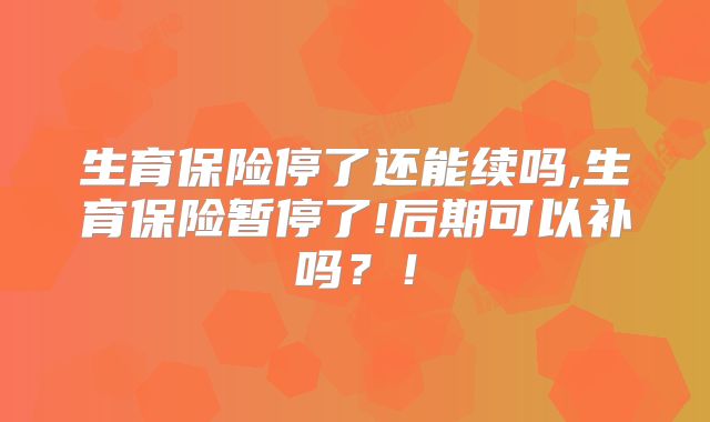 生育保险停了还能续吗,生育保险暂停了!后期可以补吗？！