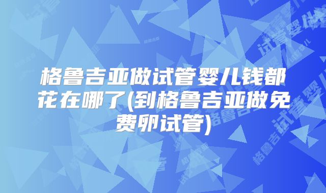 格鲁吉亚做试管婴儿钱都花在哪了(到格鲁吉亚做免费卵试管)