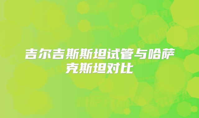 吉尔吉斯斯坦试管与哈萨克斯坦对比