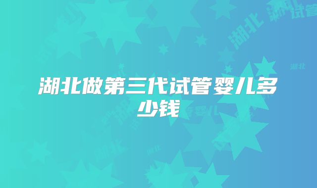 湖北做第三代试管婴儿多少钱
