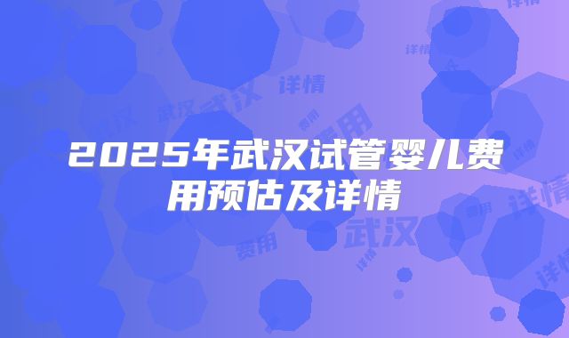 2025年武汉试管婴儿费用预估及详情
