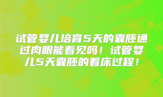 试管婴儿培育5天的囊胚通过肉眼能看见吗！试管婴儿5天囊胚的着床过程！