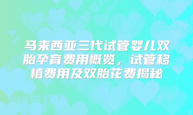 马来西亚三代试管婴儿双胎孕育费用概览，试管移植费用及双胎花费揭秘