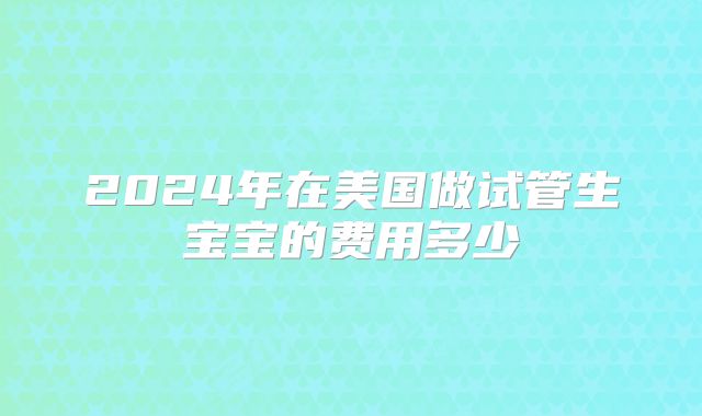 2024年在美国做试管生宝宝的费用多少