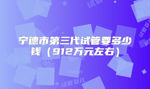 宁德市第三代试管要多少钱（912万元左右）