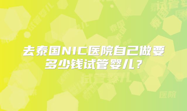 去泰国NIC医院自己做要多少钱试管婴儿？