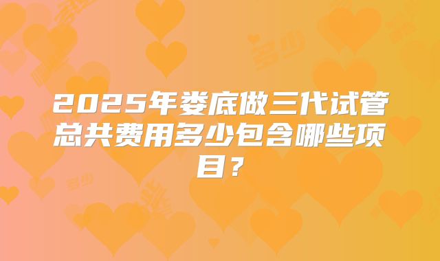 2025年娄底做三代试管总共费用多少包含哪些项目？