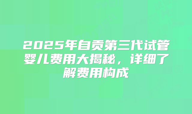 2025年自贡第三代试管婴儿费用大揭秘，详细了解费用构成