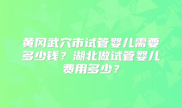 黄冈武穴市试管婴儿需要多少钱？湖北做试管婴儿费用多少？