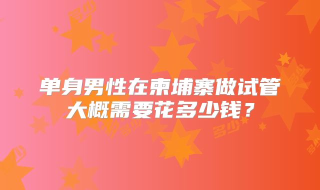 单身男性在柬埔寨做试管大概需要花多少钱？