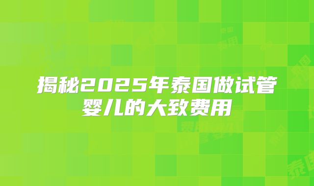 揭秘2025年泰国做试管婴儿的大致费用