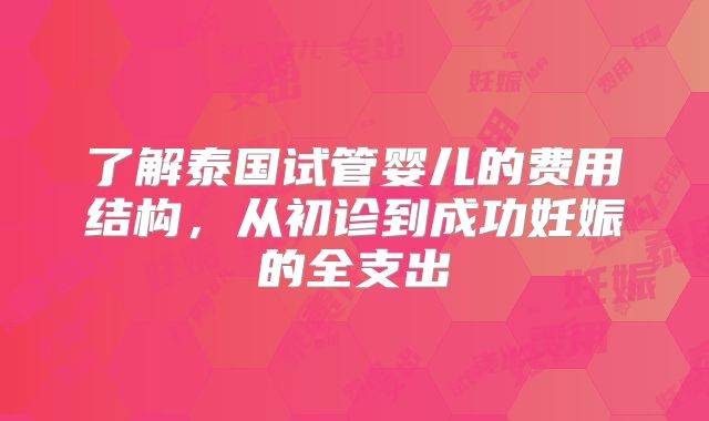 了解泰国试管婴儿的费用结构，从初诊到成功妊娠的全支出