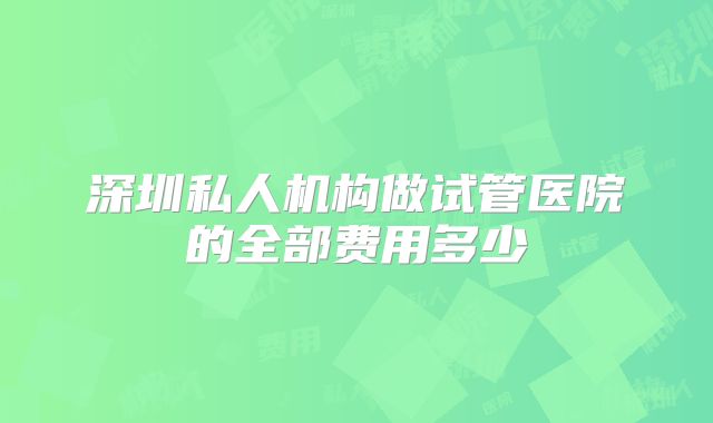 深圳私人机构做试管医院的全部费用多少