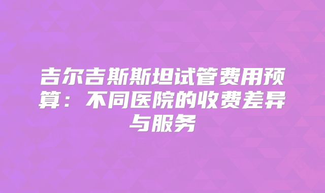 吉尔吉斯斯坦试管费用预算:不同医院的收费差异与服务