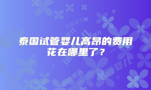 泰国试管婴儿高昂的费用花在哪里了？