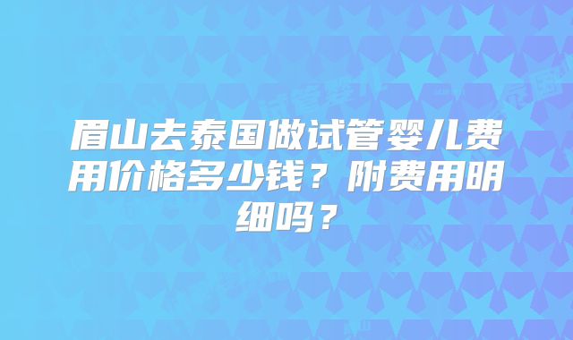 眉山去泰国做试管婴儿费用价格多少钱？附费用明细吗？