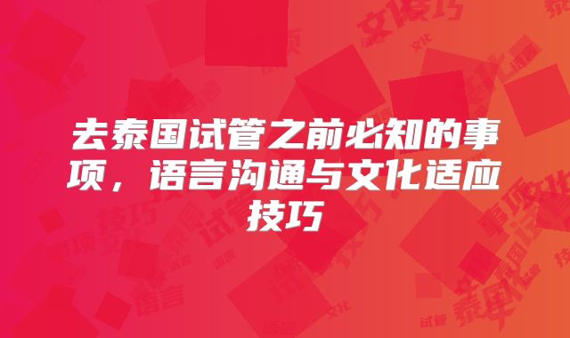 去泰国试管之前必知的事项，语言沟通与文化适应技巧
