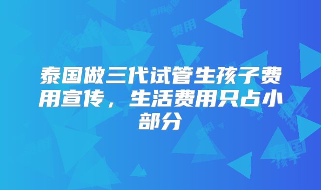 泰国做三代试管生孩子费用宣传，生活费用只占小部分