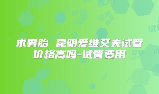 求男胎 昆明爱维艾夫试管价格高吗-试管费用
