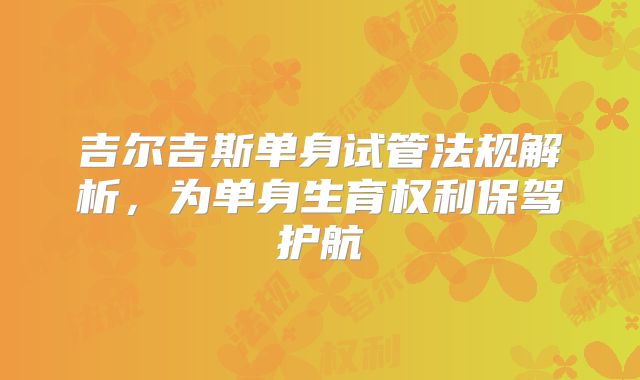 吉尔吉斯单身试管法规解析,为单身生育权利保驾护航