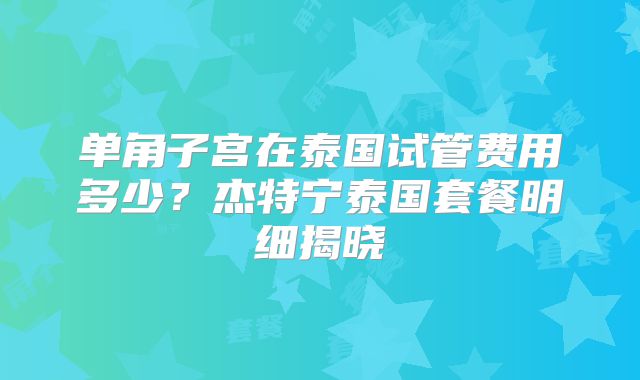 单角子宫在泰国试管费用多少？杰特宁泰国套餐明细揭晓