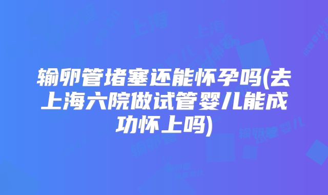 输卵管堵塞还能怀孕吗(去上海六院做试管婴儿能成功怀上吗)