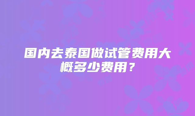 国内去泰国做试管费用大概多少费用？
