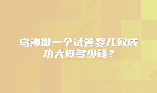 乌海做一个试管婴儿到成功大概多少钱？