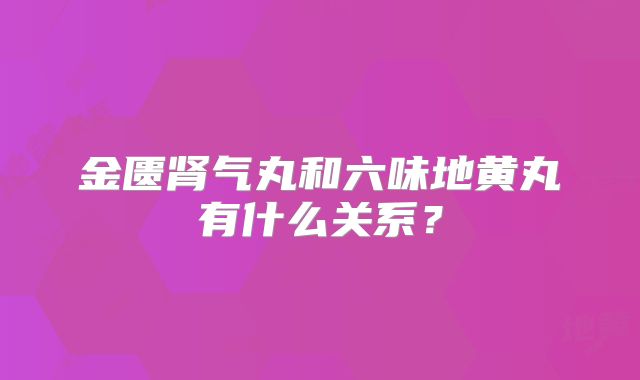 金匮肾气丸和六味地黄丸有什么关系？