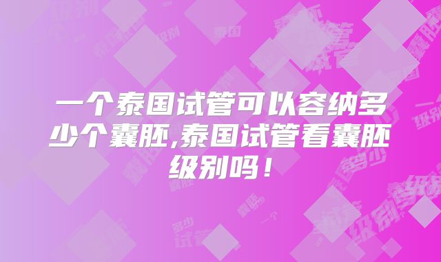 一个泰国试管可以容纳多少个囊胚,泰国试管看囊胚级别吗！