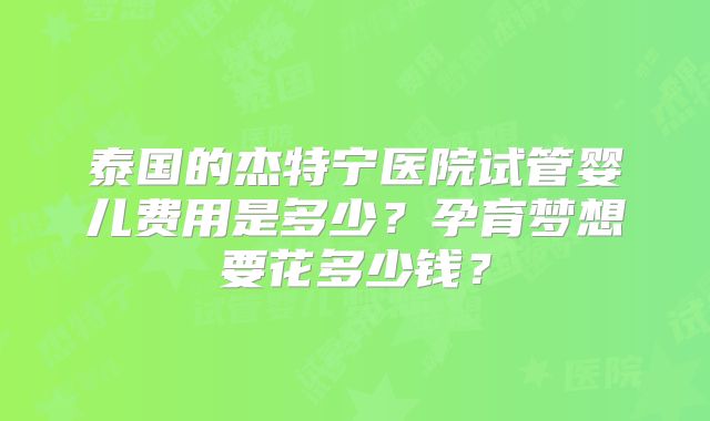 泰国的杰特宁医院试管婴儿费用是多少？孕育梦想要花多少钱？