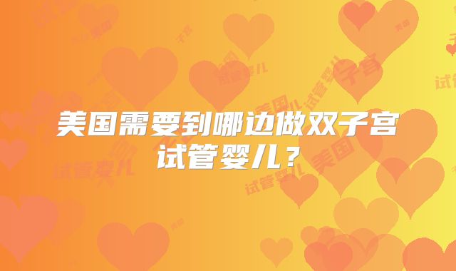 美国需要到哪边做双子宫试管婴儿？