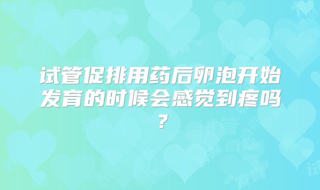 试管促排用药后卵泡开始发育的时候会感觉到疼吗？
