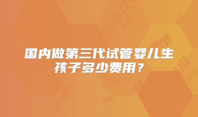 国内做第三代试管婴儿生孩子多少费用？