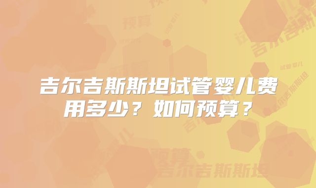 吉尔吉斯斯坦试管婴儿费用多少？如何预算？
