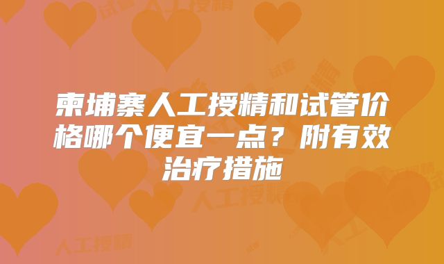 柬埔寨人工授精和试管价格哪个便宜一点？附有效治疗措施