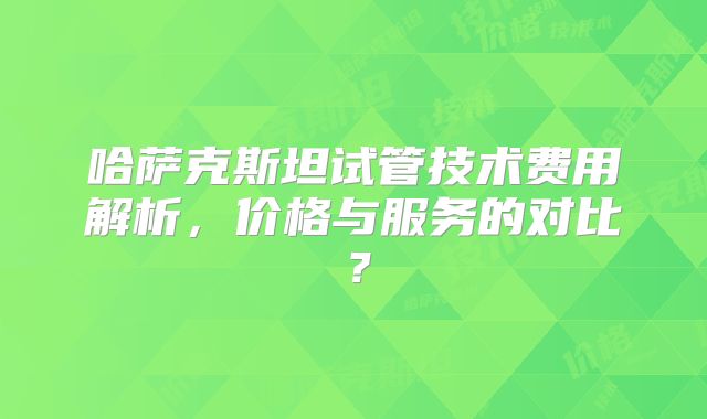 哈萨克斯坦试管技术费用解析，价格与服务的对比？