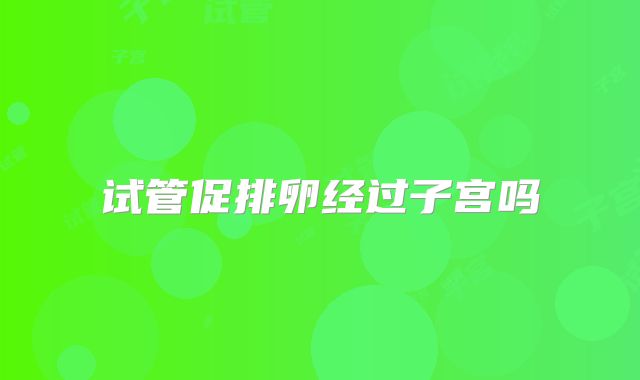 试管促排卵经过子宫吗