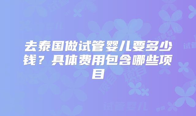 去泰国做试管婴儿要多少钱？具体费用包含哪些项目